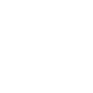 logo loader